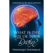 What Is the Size of Your Brain?: Foreword by Dr. Myles Munroe