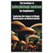 The healings of (psilocybin)magic mushroom for beginners: Exploring the Impact of Magic Mushrooms on Mental Health