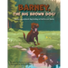 Barney, The Big Brown Dog!: Barney, an orphaned dog looking to find his new family