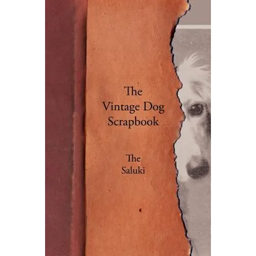 The Vintage Dog Scrapbook - The Saluki
