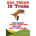 Dog Tricks: 15 Tricks You Must Teach Your Dog before Anything Else