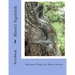Abert's Squirrels: Reference Photos for Nature Artists