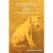 Beautiful Joe