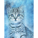 Cat lovers Sketch Book: with 20 cat coloring pages to color, paint, doodle, and sketch . for all cat lovers, 8.5 x 11