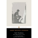God's Trombones: Seven Negro Sermons in Verse