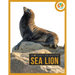 Sea Lion