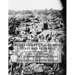 Sierra County, California Mines and Minerals: California Register of Mines and Minerals