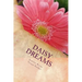 Daisy Dreams