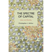 The Spectre of Capital: Idea and Reality
