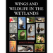 Wings and Wildlife in the Wetlands