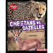 Cheetahs vs. Gazelles: Food Chain Fights