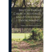 Bruton Parish Church Restored and Its Historic Environments