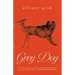 Grey Dog