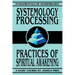 Systemology Processing: Practices of Spiritual Awakening