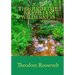 Through the Brazilian Wilderness