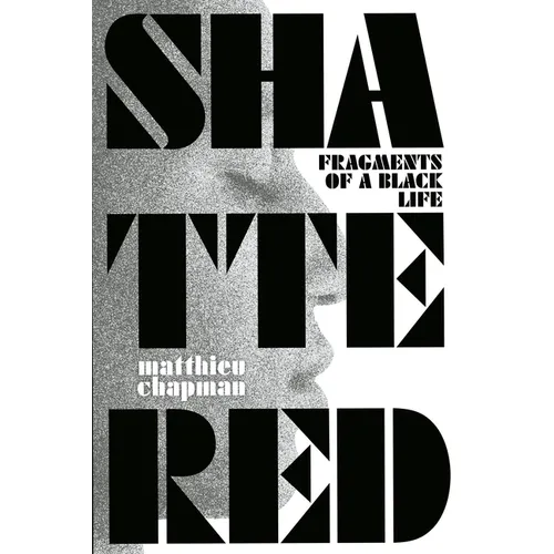 Shattered: Fragments of a Black Life