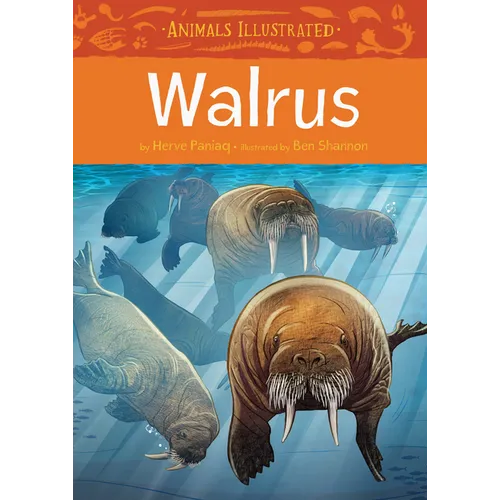 Animals Illustrated: Walrus