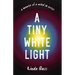 A Tiny White Light: A Memoir of a Mind in Crisis