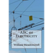 ABC of Electricity: William Henry Meadowcroft
