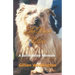 The Basil Letters: A Bermudian Memoir