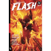 Absolute Flash Vol. 1: Of Two Worlds