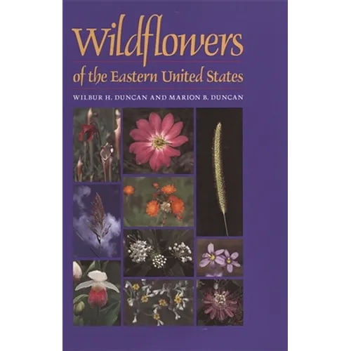 Wildflowers of the Eastern United States