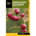 Sonoran Desert Wildflowers