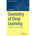 Geometry of Deep Learning: A Signal Processing Perspective