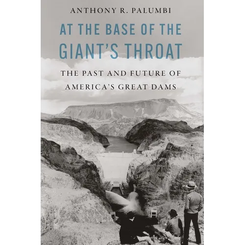 At the Base of the Giant's Throat: The Past and Future of America's Great Dams