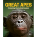 Great Apes: Protecting Our Animal Cousins