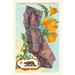 "The Vintage Journal California Map with Bear and Poppies