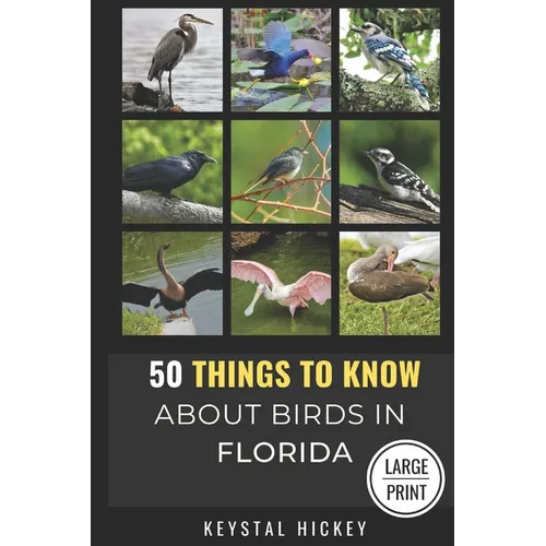 50 Things to Know About Birds in Florida: Birding in the Sunshine State
