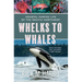 Whelks to Whales: Coastal Marine Life of the Pacific Northwest, Newly Revised and Expanded Third Edition