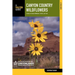 Canyon Country Wildflowers