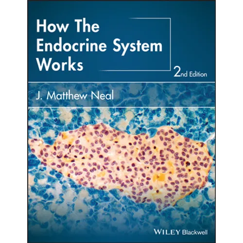 How the Endocrine System Works