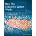 How the Endocrine System Works