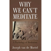 Why We Can't Meditate: A Psychology of Meditation