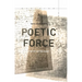 Poetic Force: Poetry After Kant