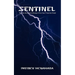 Sentinel: Become the Agent in Charge of Your Own Protection Detail