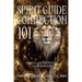 Spirit Guide Connection 101: Basics and Exercises for Beginners
