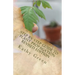 Step By Step Guide To Plant Propagation Revised Edition
