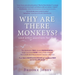 Why Are There Monkeys? (and other questions for God)