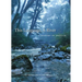 This Language, a River: A History of English