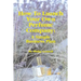 How To Launch Your Own Perfume Company: A Simple Business Plan