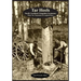 Tar Heels: North Carolina's Forgotton Economy: Pitch, Tar, Turpentine & Longleaf Pines