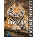 Tigers: Picture Perfect Photo Book