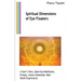 Spiritual Dimensions of Eye Floaters: A Seer's View, Open Eye Meditation, Ecstasy, Carlos Castaneda, Near-Death Experiences