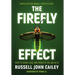 The Firefly Effect: How to Learn, Lead, and Thrive in the Age of AI