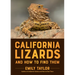 California Lizards and How to Find Them