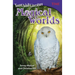 Young Adult Literature: Magical Worlds